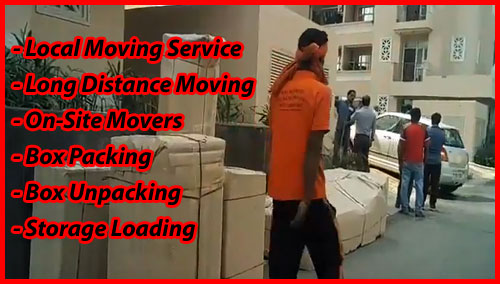 Packers And Movers Noida Sector 40